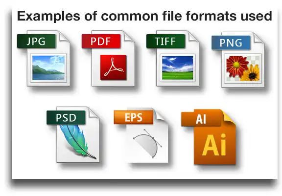 common image file formats