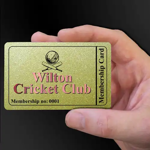 Wilton Cricket Club