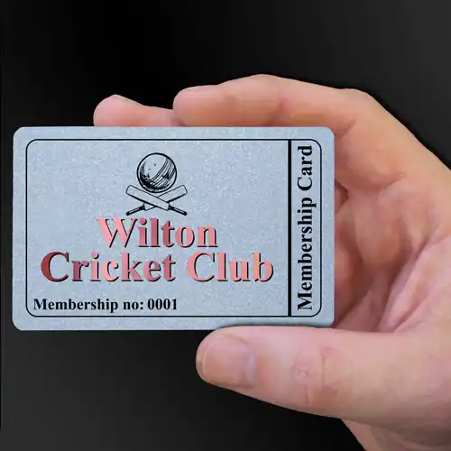 Wilton Cricket Club