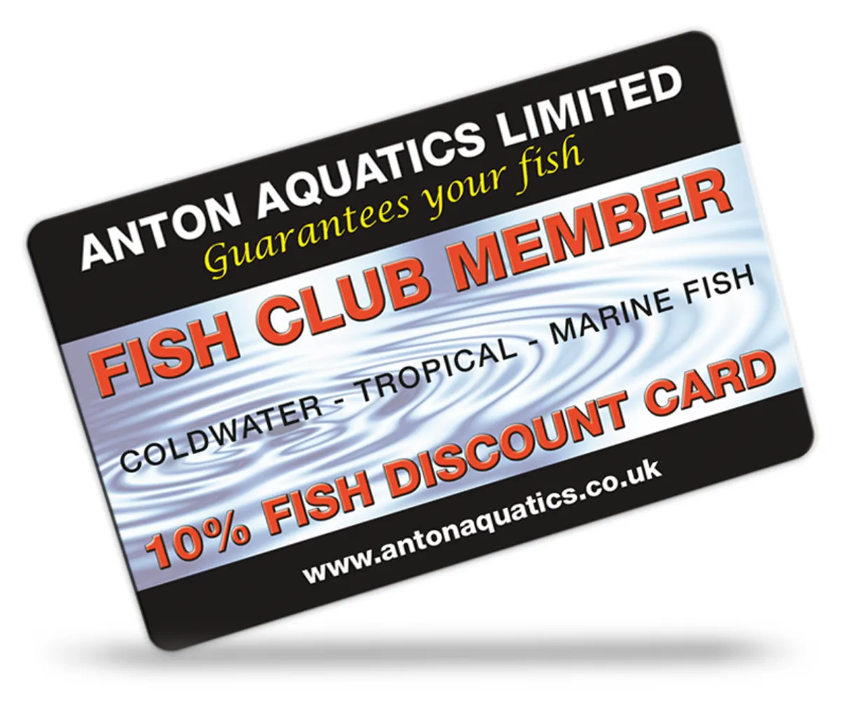 Amwell Aquatics Limited