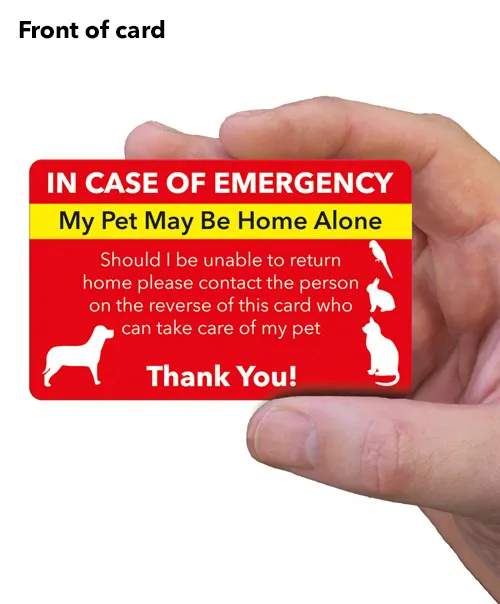 front of pet at home card